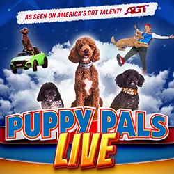 Puppy Pals Live | Blue Gate Theatre | Shipshewana, Indiana