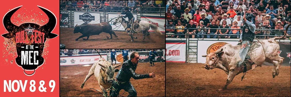 PBR Bull Fest - November 8, 2024 - Shipshewana, IN